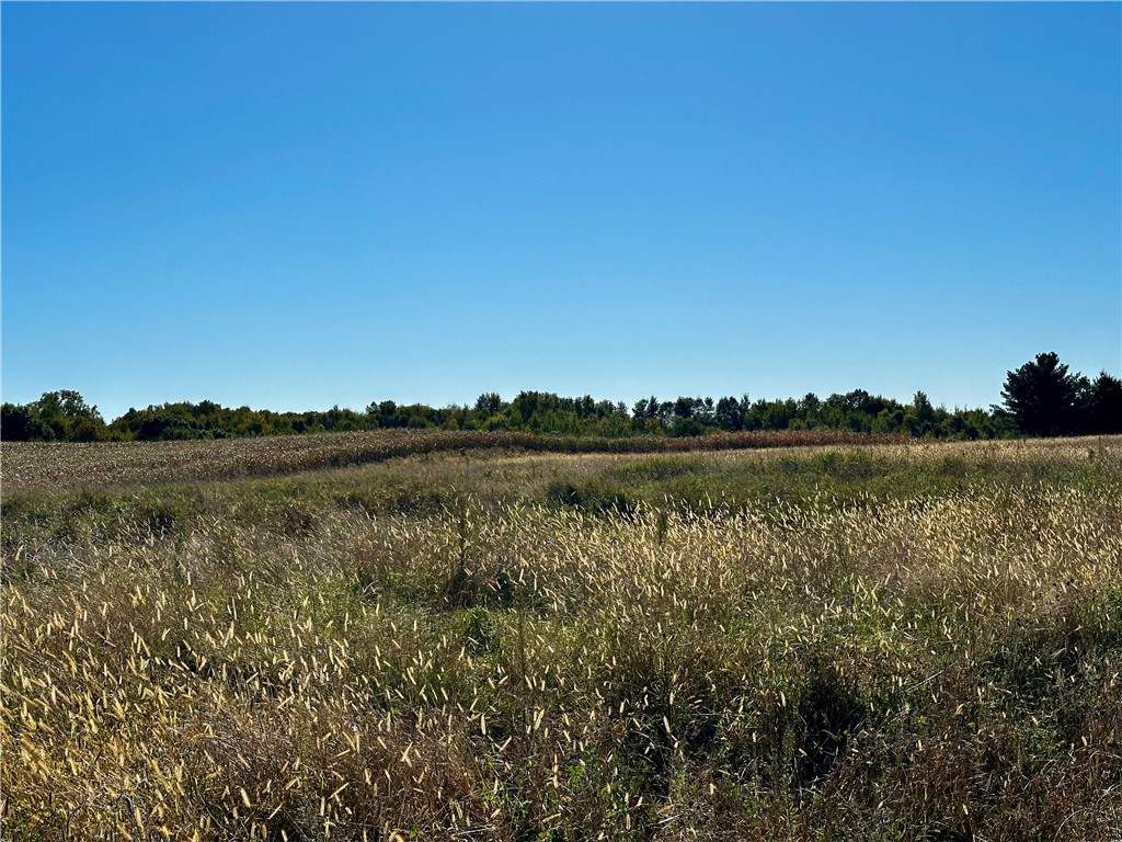 Lot 3 180th Street, Chippewa Falls, WI — photo 26