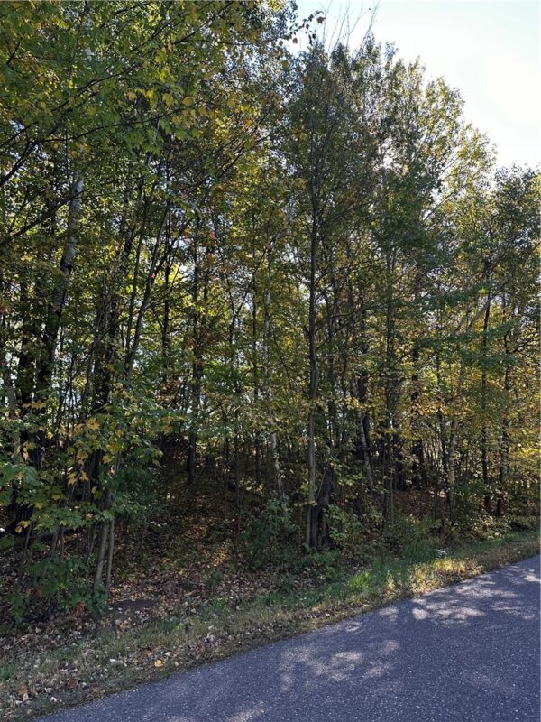 Lot 3 180th Street, Chippewa Falls, WI — photo 32