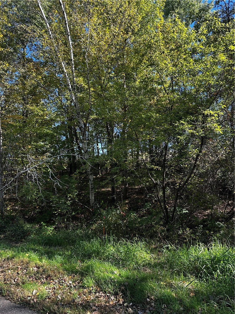 Lot 3 180th Street, Chippewa Falls, WI — photo 33