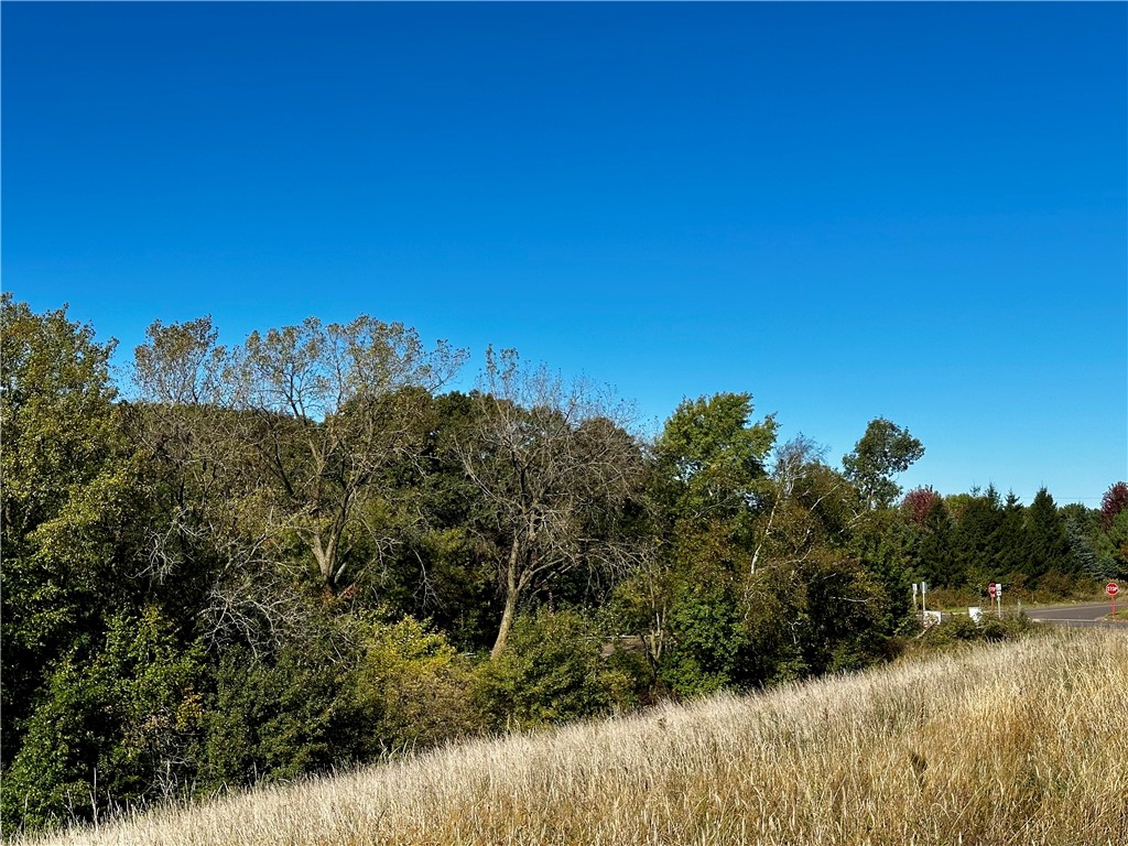Lot 3 180th Street, Chippewa Falls, WI — photo 38