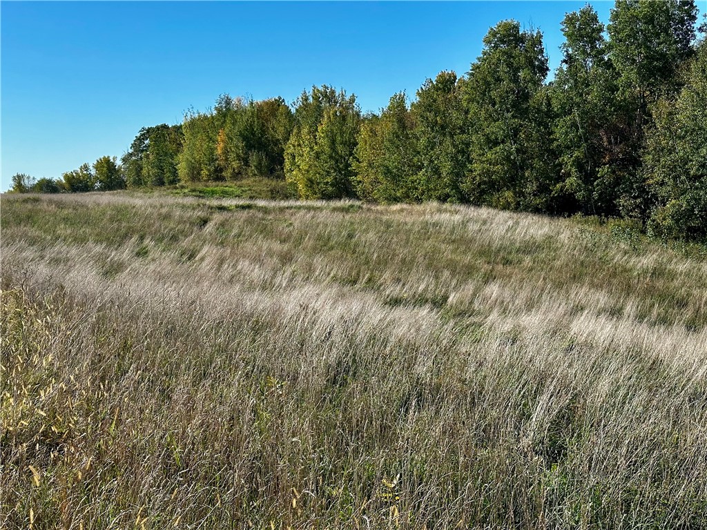 Lot 3 180th Street, Chippewa Falls, WI — photo 41