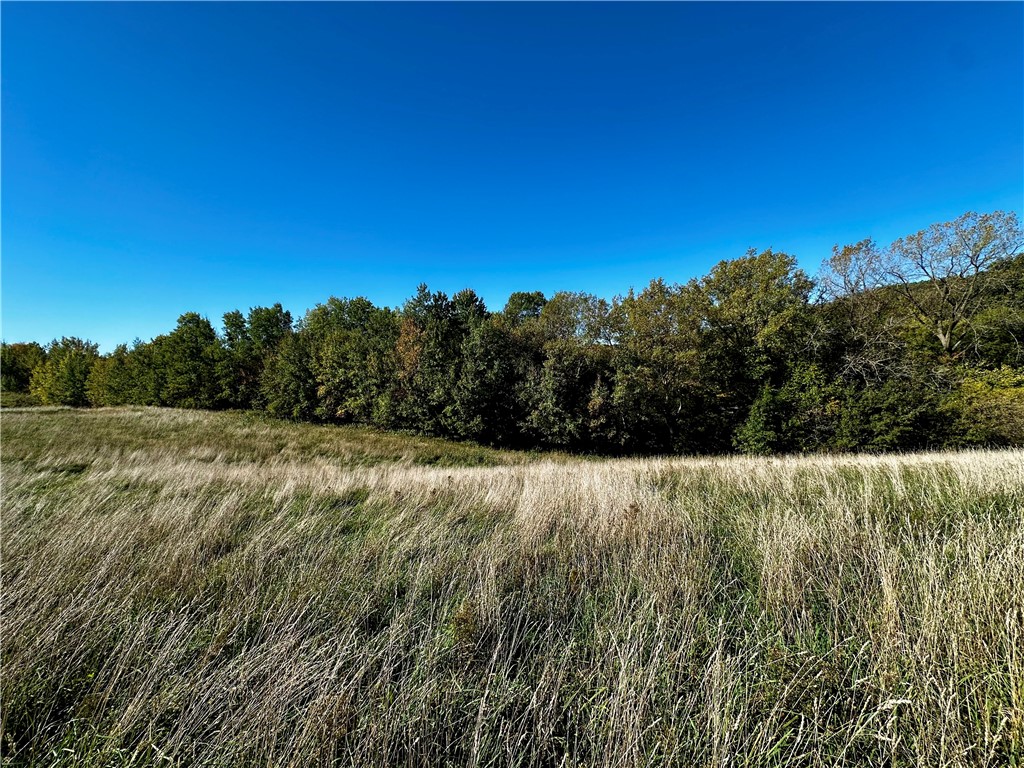 Lot 3 180th Street, Chippewa Falls, WI — photo 44