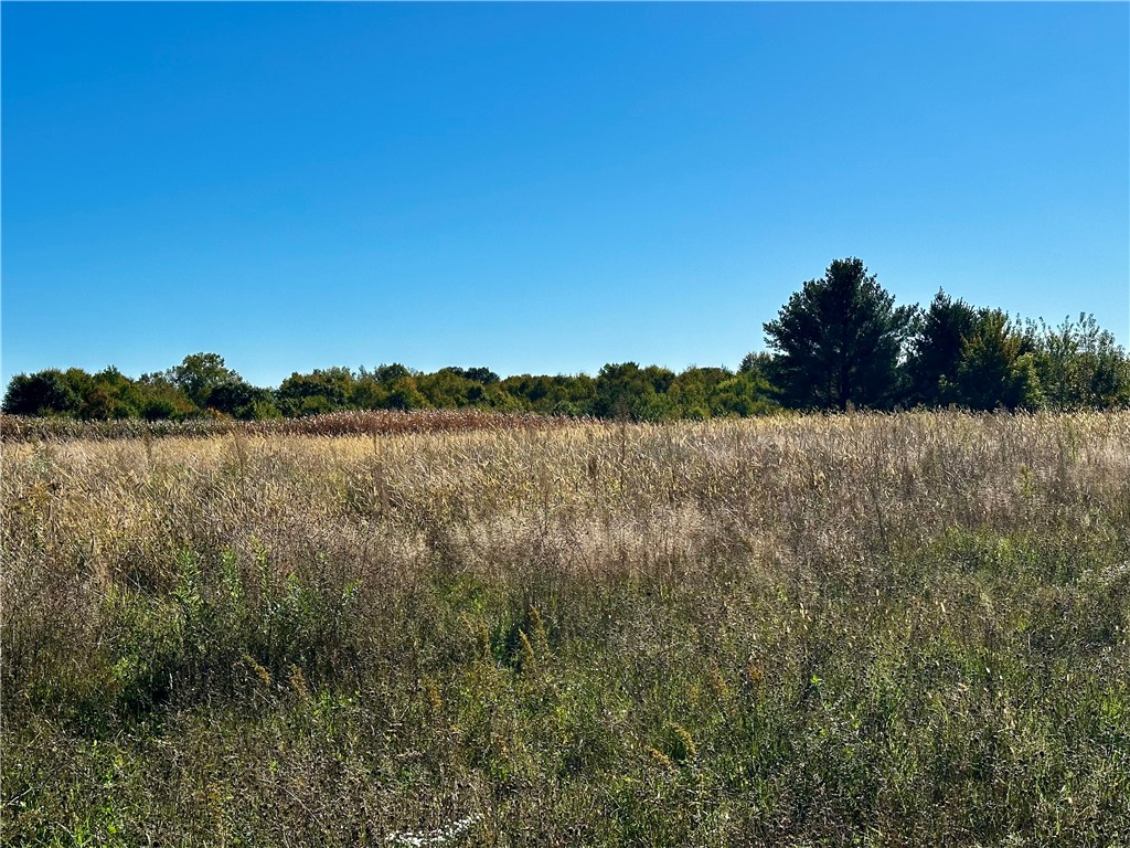 Lot 3 180th Street, Chippewa Falls, WI — photo 9