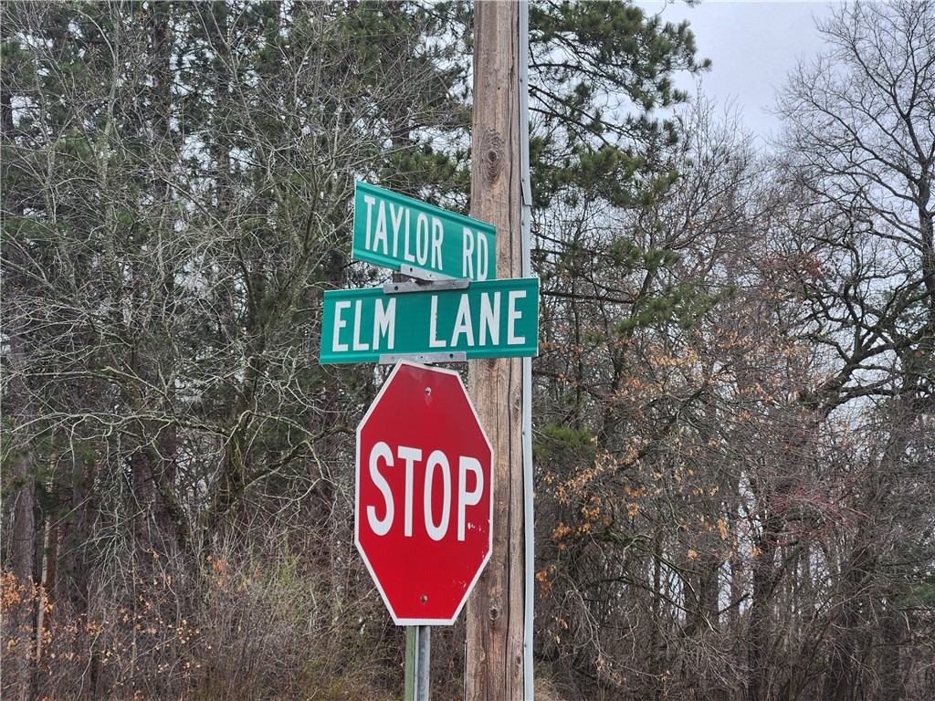 Land at 010 Lot 10 Elm Lane, Taylor, WI 54659 — photo 9