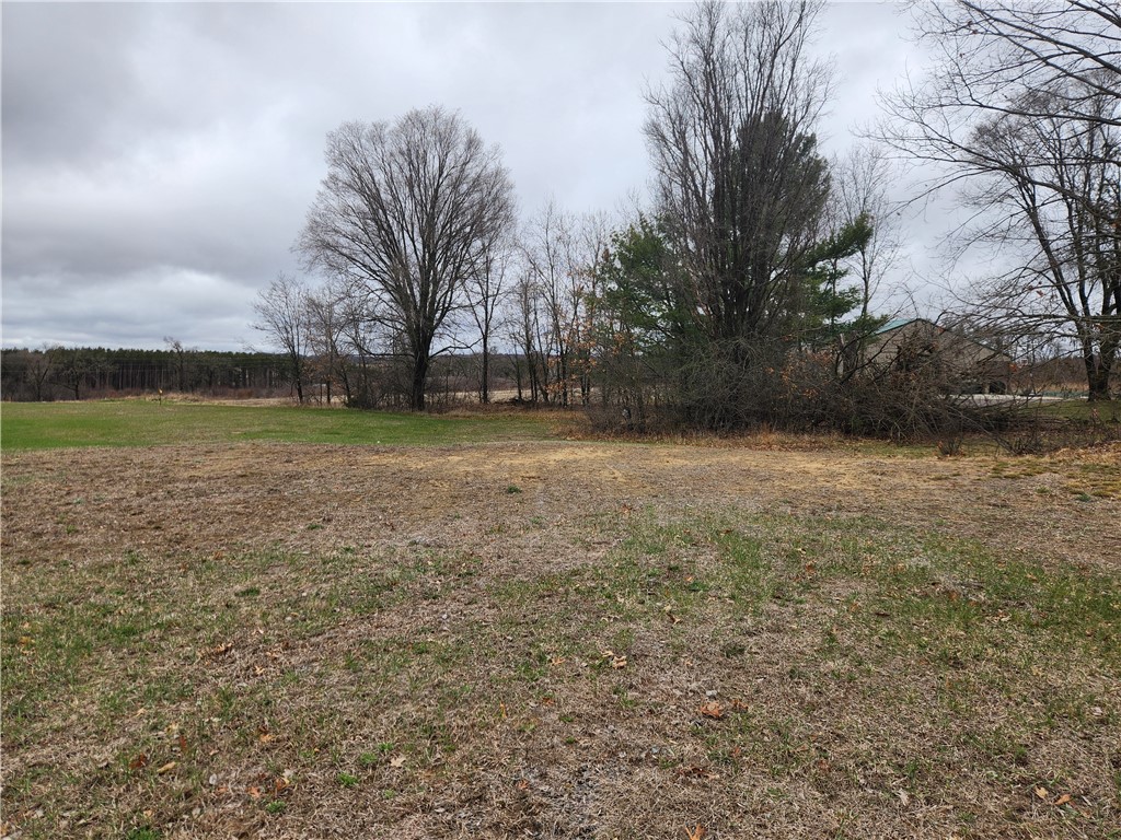 Land at 05 Lot 5 Elm Lane, Taylor, WI 54659 — photo 5