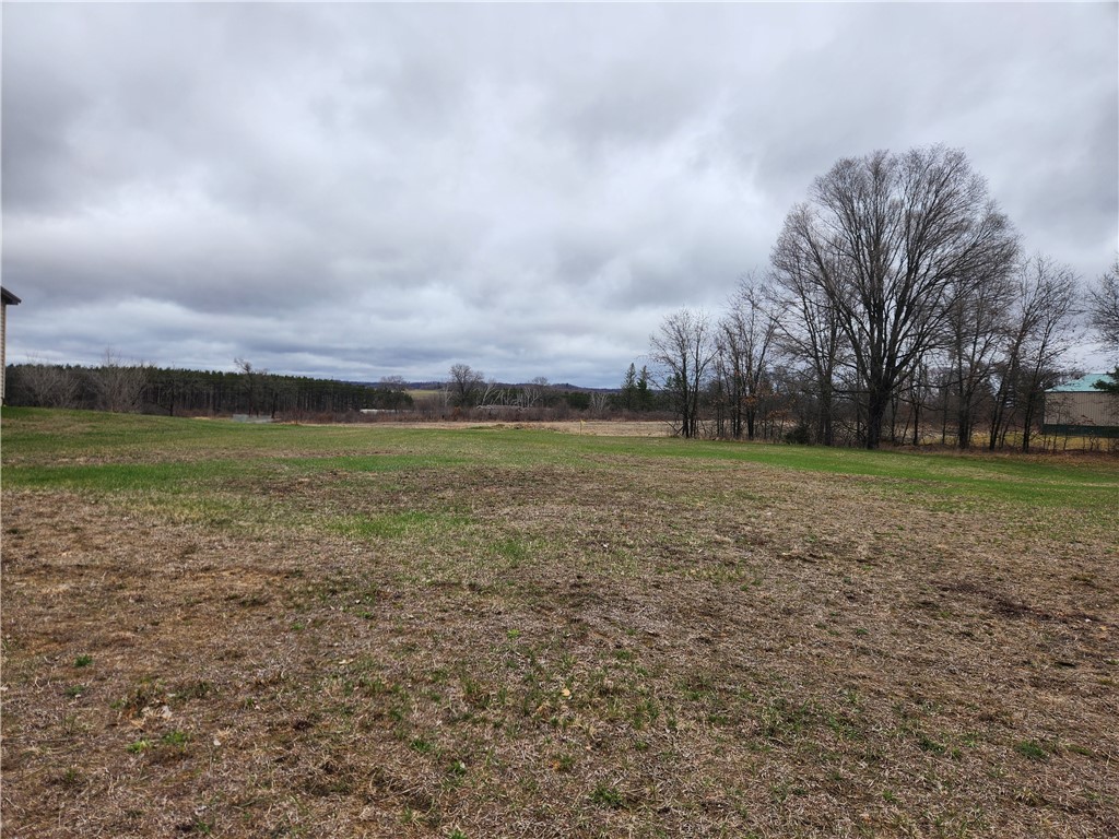 Land at 06 Lot 6 Elm Lane, Taylor, WI 54659 — photo 3
