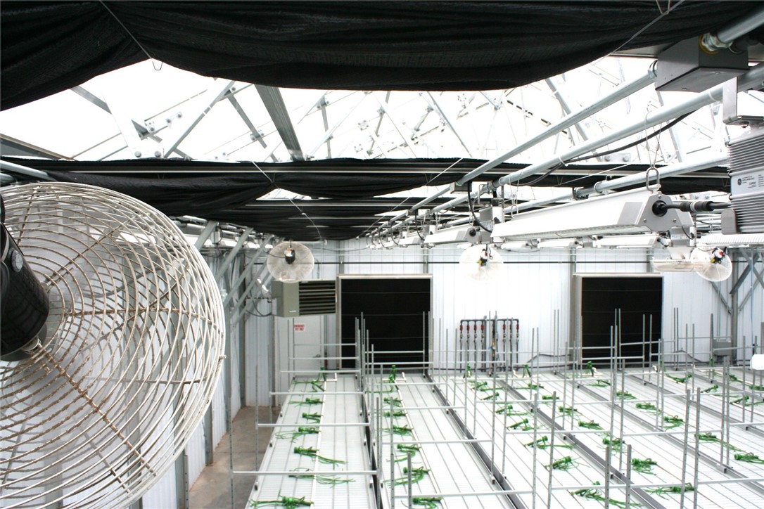 28313 275th Avenue Holcombe WI 54745 — photo 11