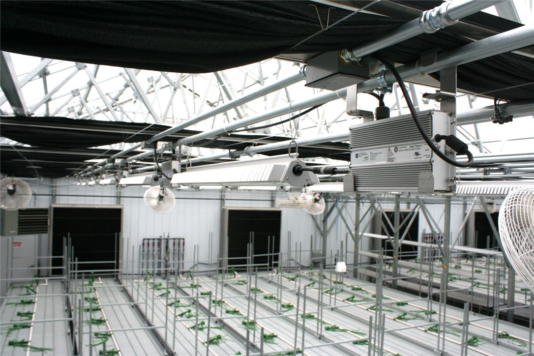 28313 275th Avenue Holcombe WI 54745 — photo 12