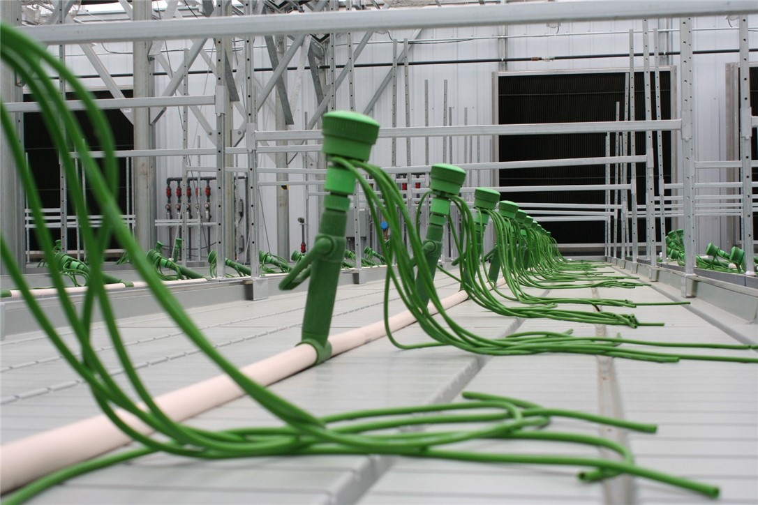 28313 275th Avenue Holcombe WI 54745 — photo 13