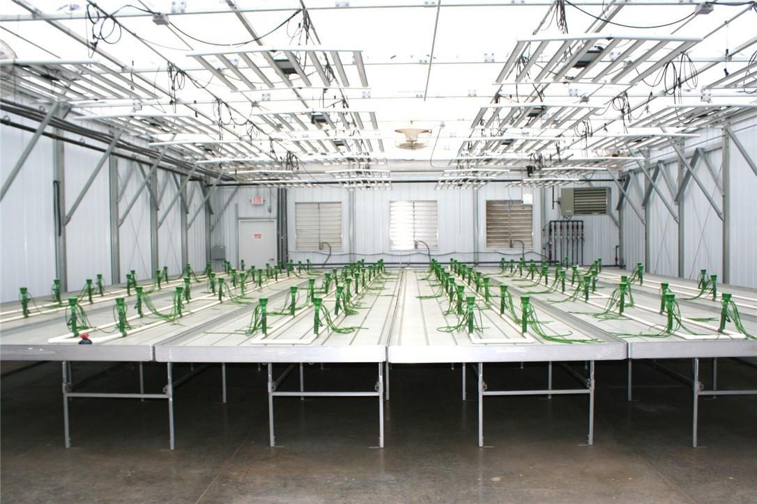 28313 275th Avenue Holcombe WI 54745 — photo 14