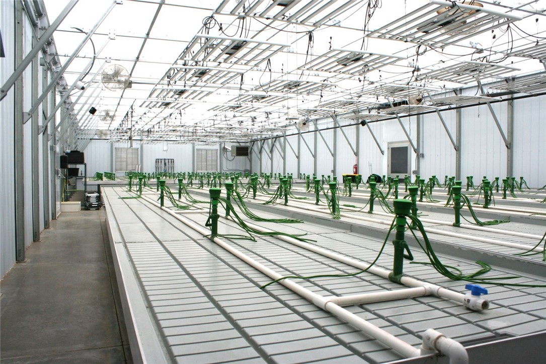 28313 275th Avenue Holcombe WI 54745 — photo 15