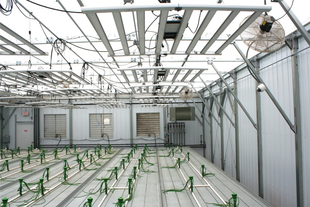 28313 275th Avenue Holcombe WI 54745 — photo 17