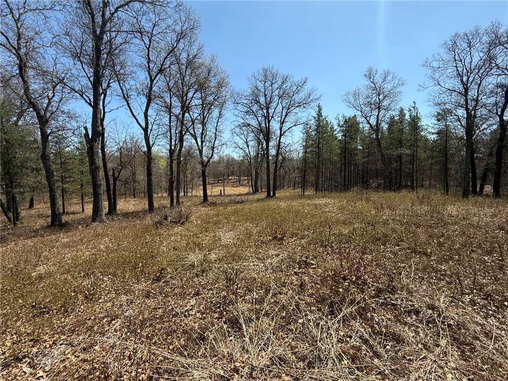 Land at 29937 Bay Drive, Danbury, WI 54830 — photo 2