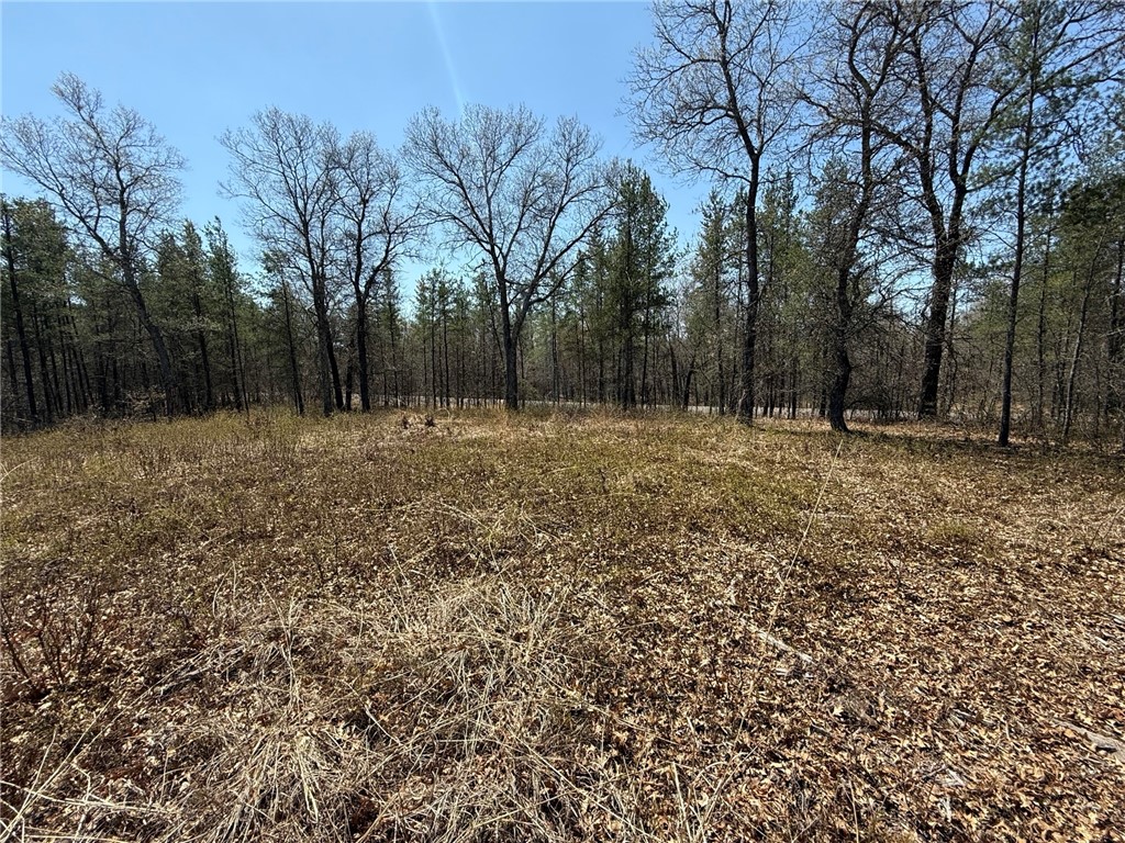 Land at 29937 Bay Drive, Danbury, WI 54830 — photo 3