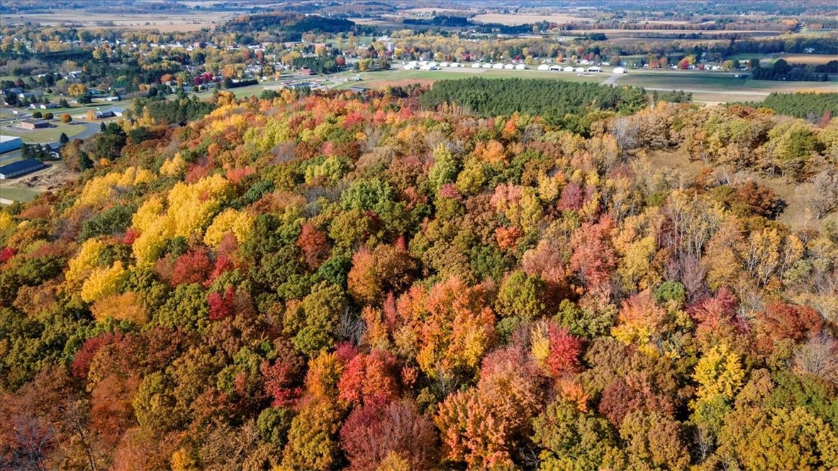 Lots 4, 5 & 6 Anderson Hill Lane, Boyceville, WI — photo 15