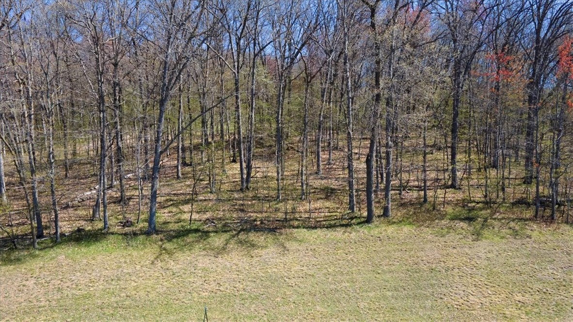 Lots 4, 5 & 6 Anderson Hill Lane, Boyceville, WI — photo 21