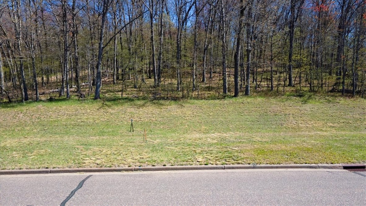 Lots 4, 5 & 6 Anderson Hill Lane, Boyceville, WI — photo 23