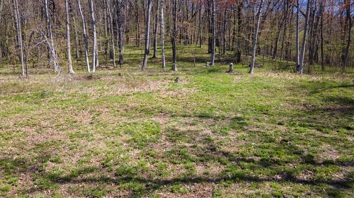 Lots 4, 5 & 6 Anderson Hill Lane, Boyceville, WI — photo 24