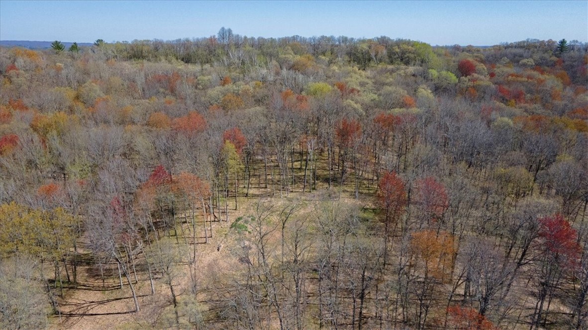 Lots 4, 5 & 6 Anderson Hill Lane, Boyceville, WI — photo 25