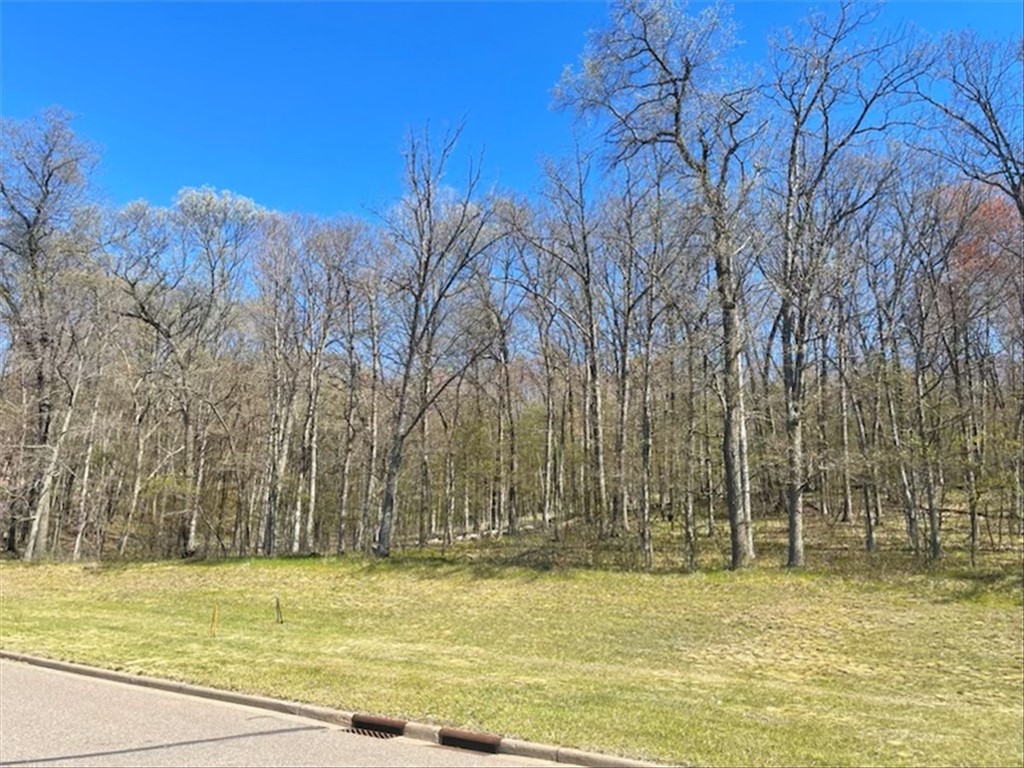 Lots 4, 5 & 6 Anderson Hill Lane, Boyceville, WI — photo 26