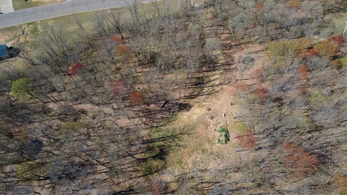 Lots 4, 5 & 6 Anderson Hill Lane, Boyceville, WI — photo 29