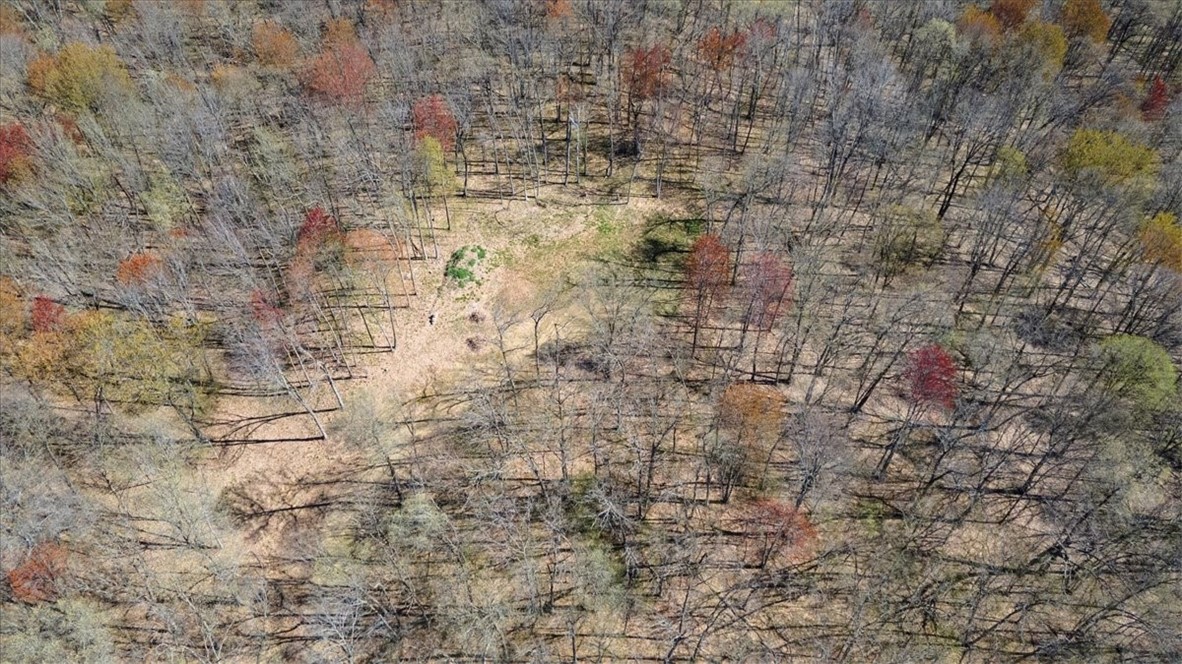 Lots 4, 5 & 6 Anderson Hill Lane, Boyceville, WI — photo 30