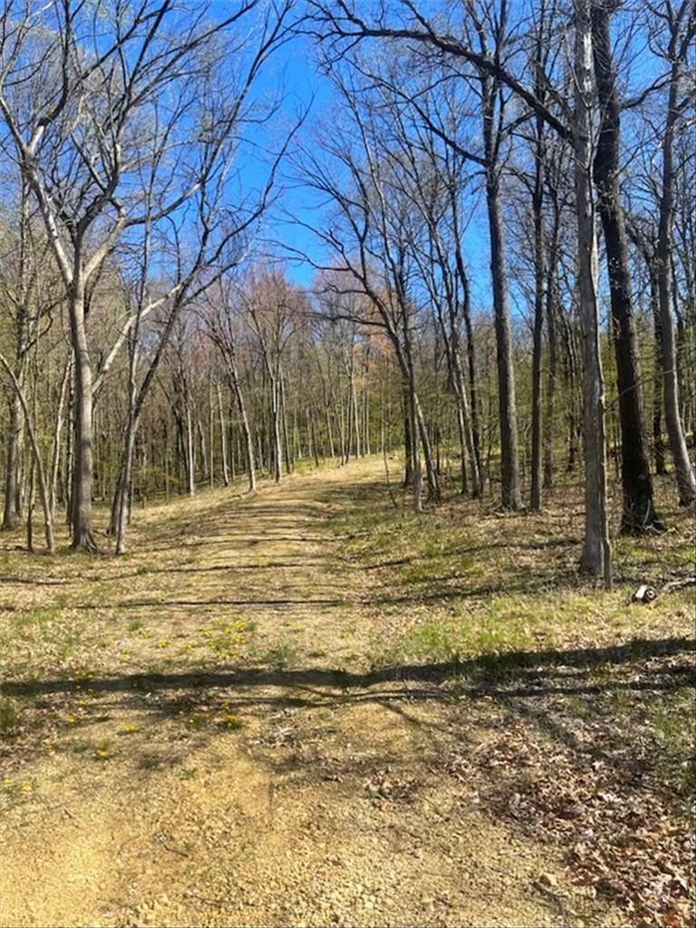 Lots 4, 5 & 6 Anderson Hill Lane, Boyceville, WI — photo 31