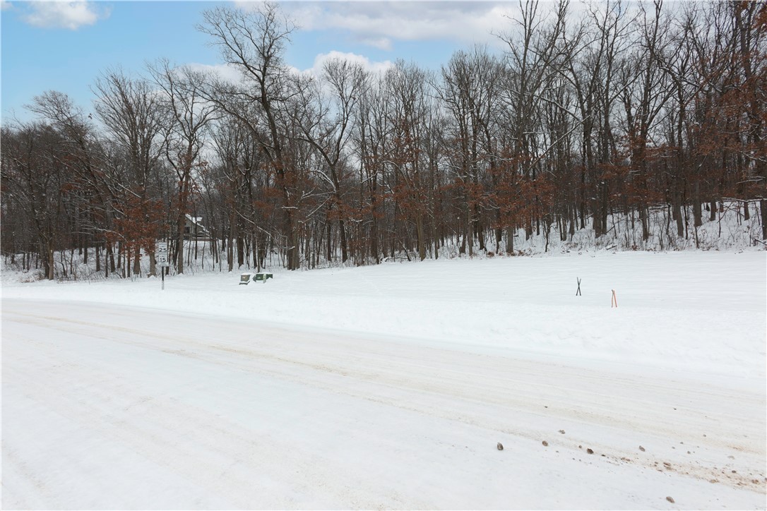 Lots 4, 5 & 6 Anderson Hill Lane, Boyceville, WI — photo 34