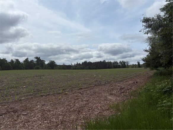 0 Walkers Road, Humbird, WI