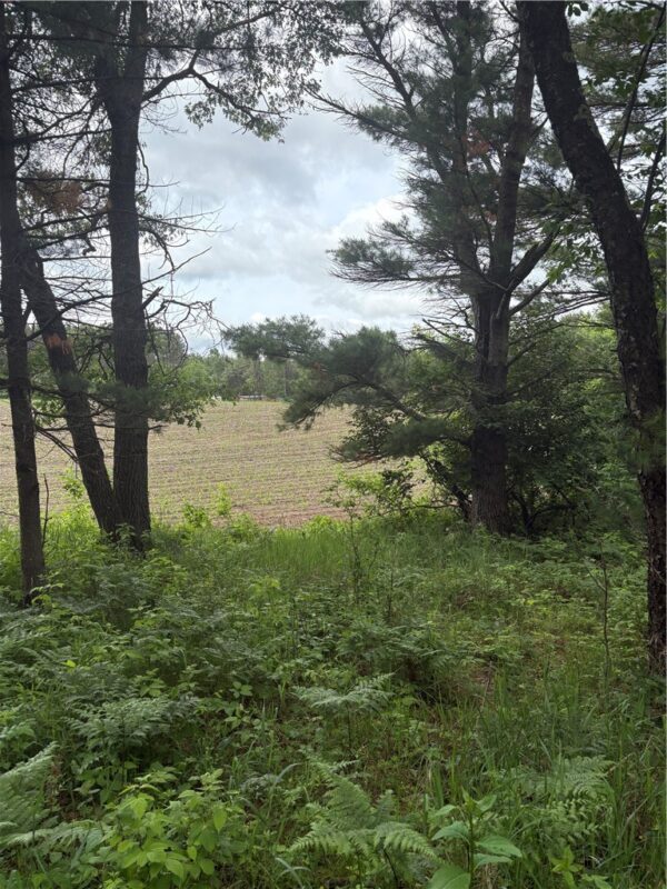 0 Walkers Road, Humbird, WI