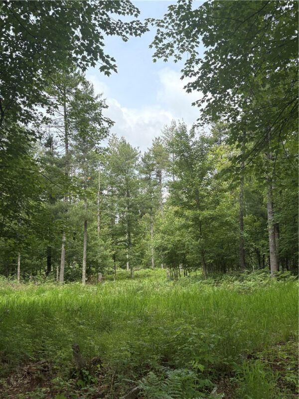 0 Walkers Road, Humbird, WI