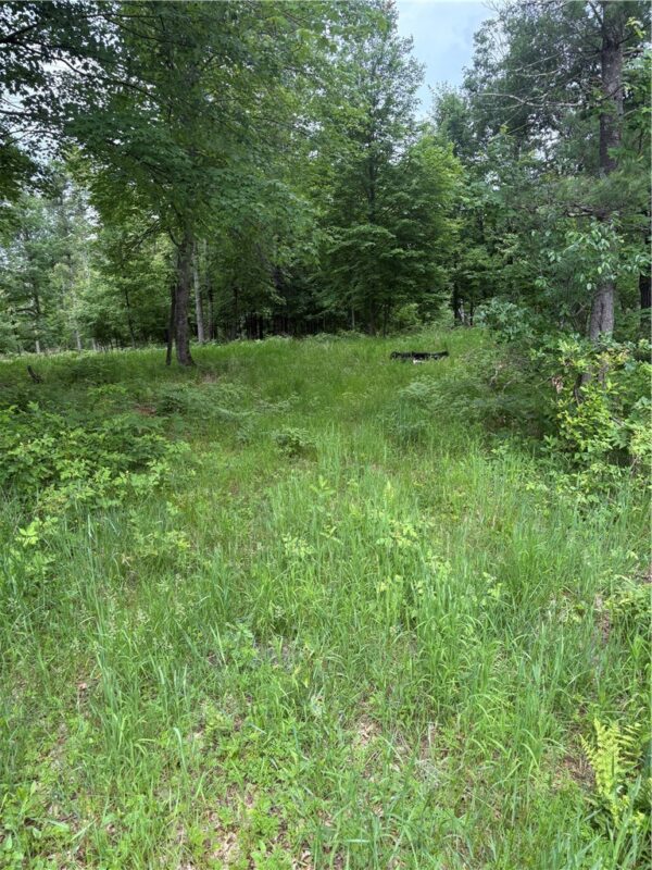 0 Walkers Road, Humbird, WI
