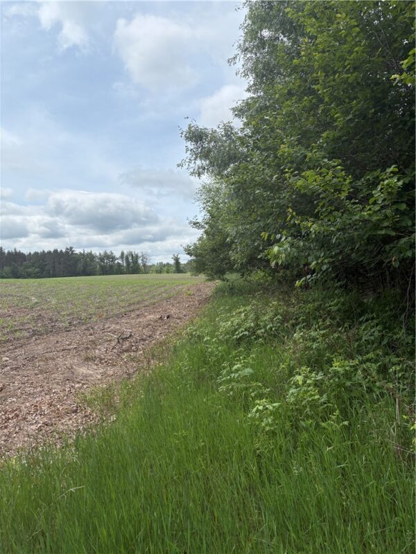 0 Walkers Road, Humbird, WI