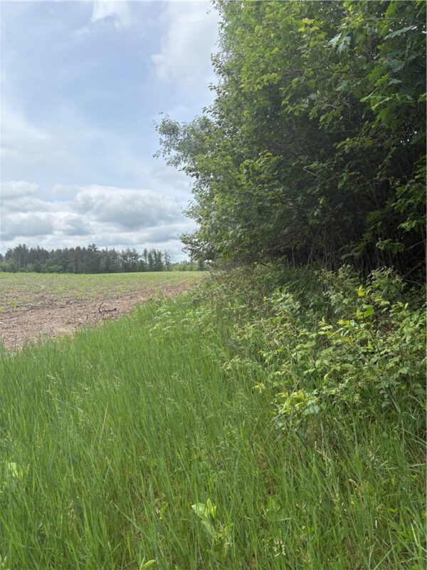 0 Walkers Road, Humbird, WI