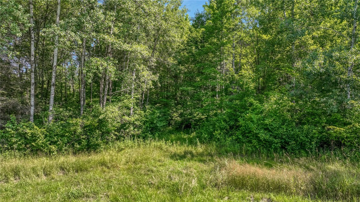 3828 W Walrath Road Glen Flora WI 54563 — photo 27