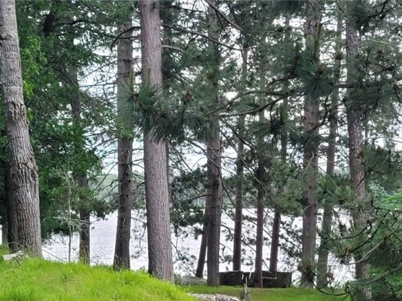 52040 & 52030 Robinson Lake Road, Solon Springs, WI