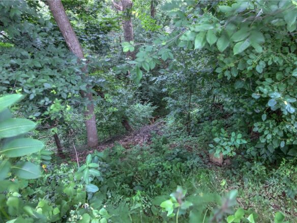Lot 4 North Street, Chippewa Falls, WI