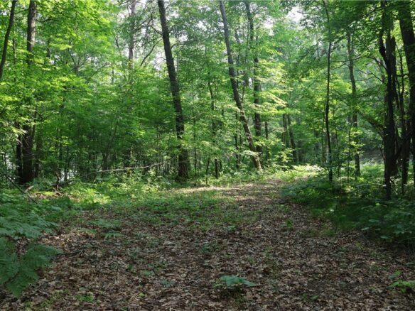 Lot 11 103rd Street, Frederic, WI