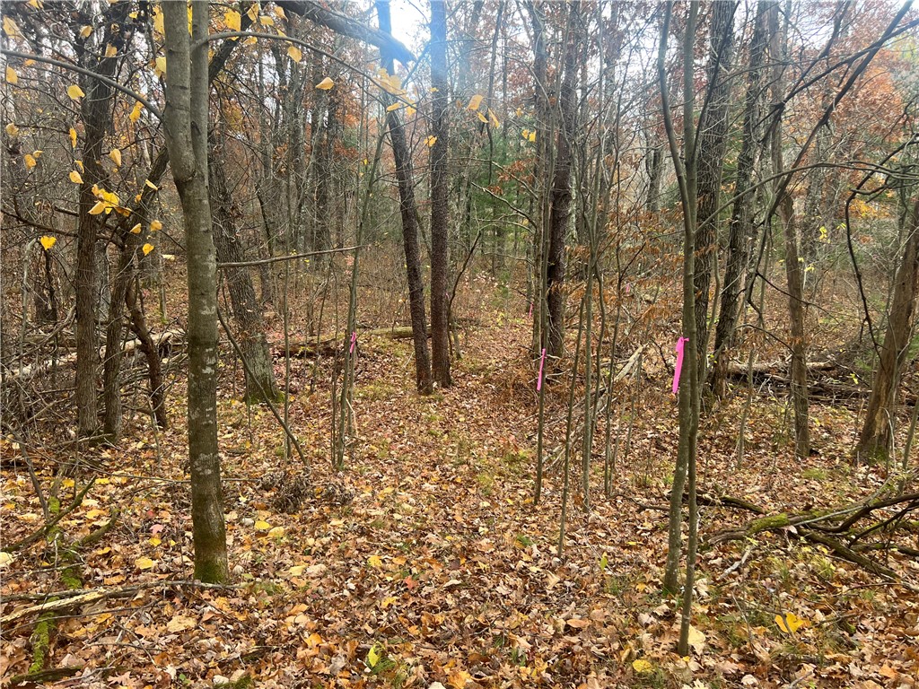 0 Hwy 70, Spooner, WI — photo 17