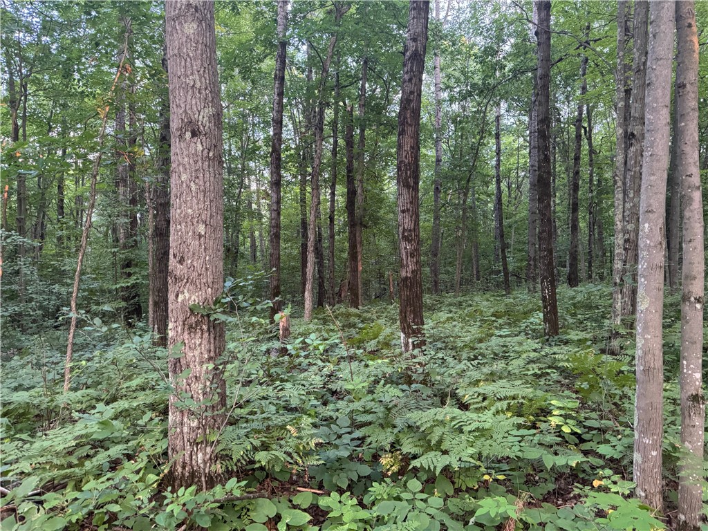 13 acres on County Rd A, Spooner, WI — photo 10