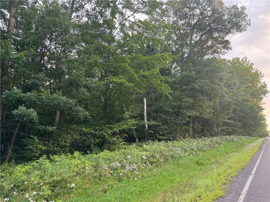 13 acres on County Rd A, Spooner, WI — photo 11