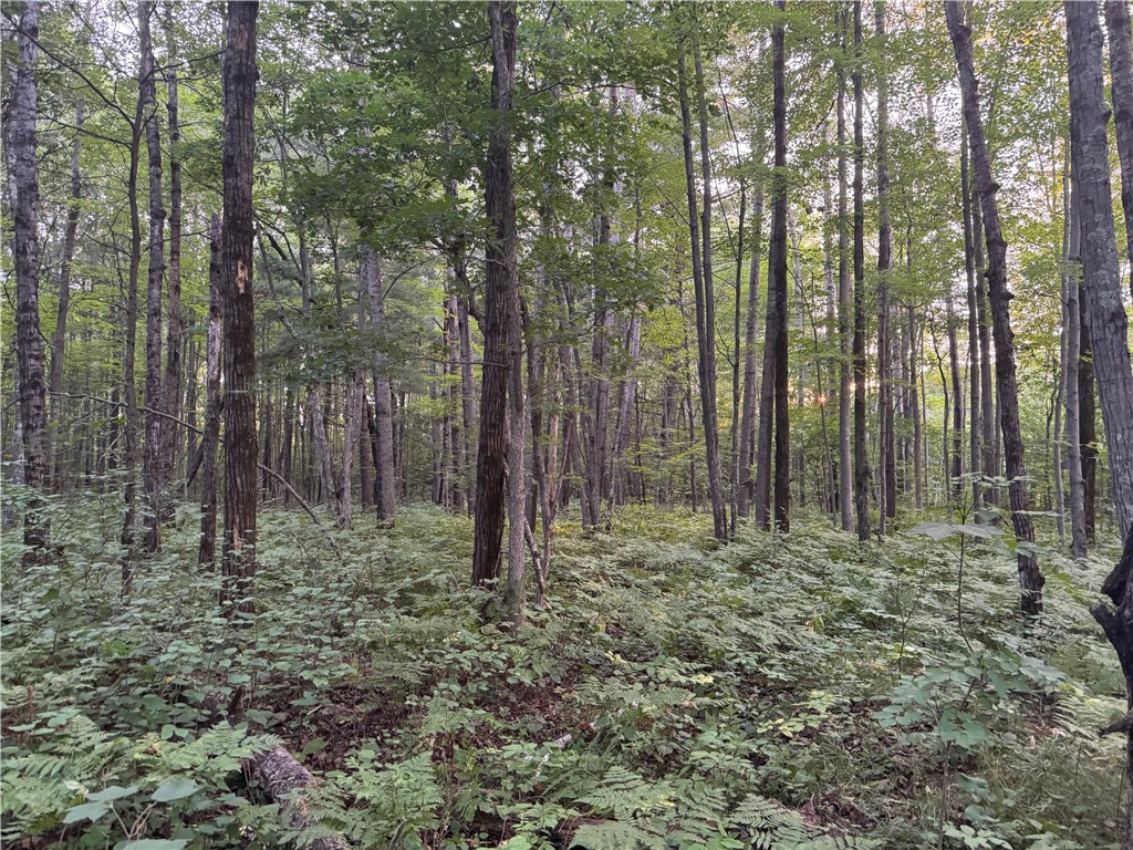 13 acres on County Rd A, Spooner, WI — photo 12