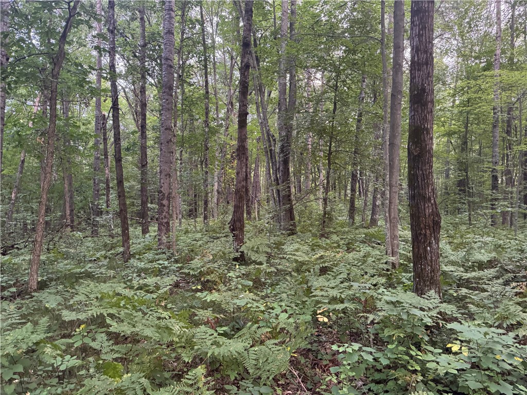 13 acres on County Rd A, Spooner, WI — photo 13