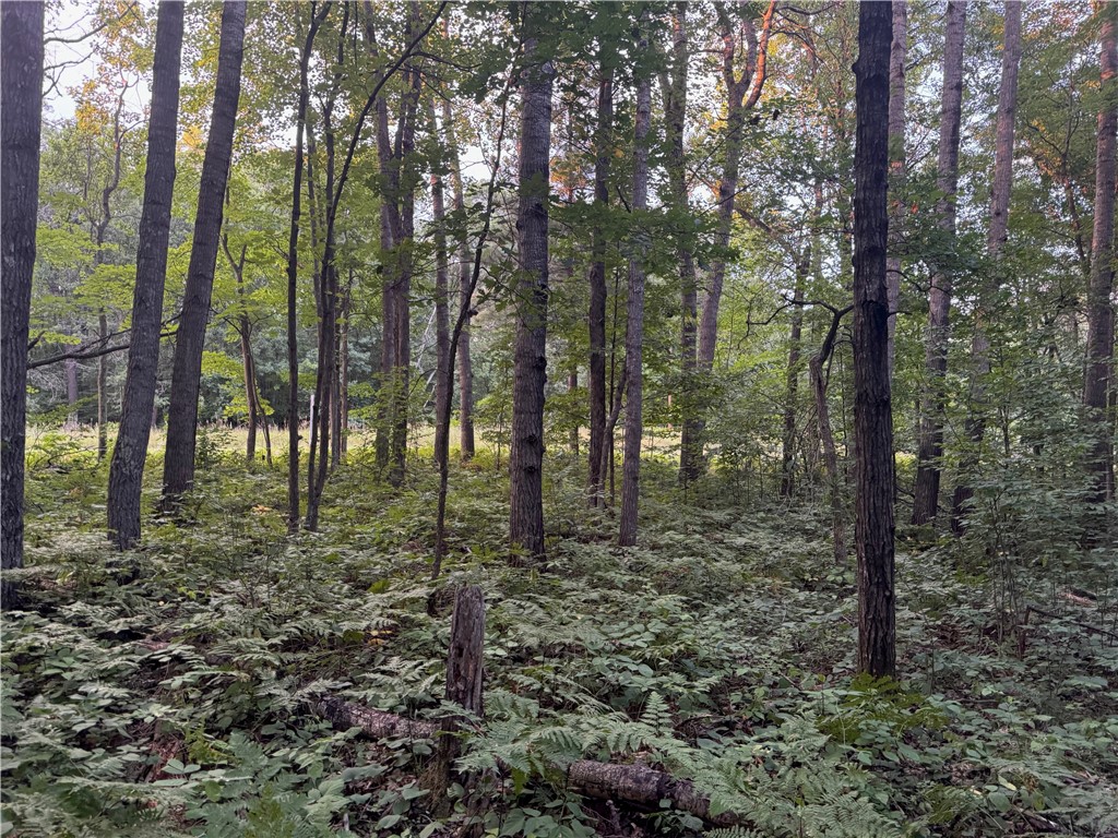 13 acres on County Rd A, Spooner, WI — photo 14