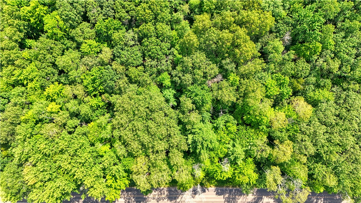 13 acres on County Rd A, Spooner, WI — photo 15