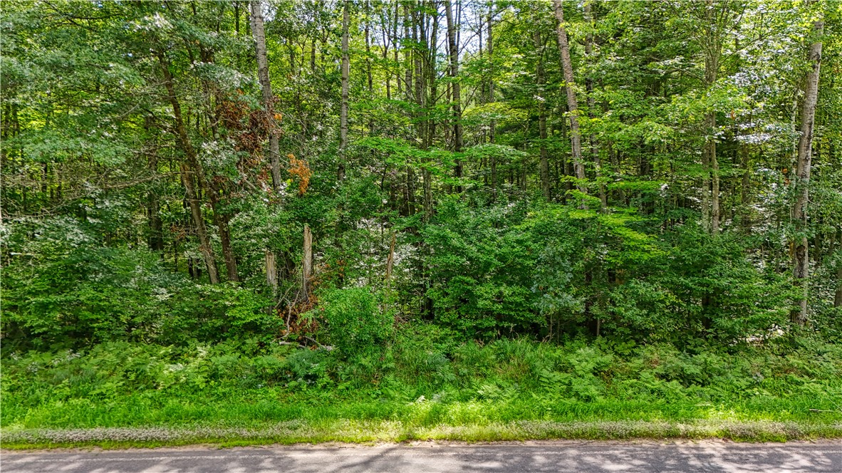 13 acres on County Rd A, Spooner, WI — photo 5