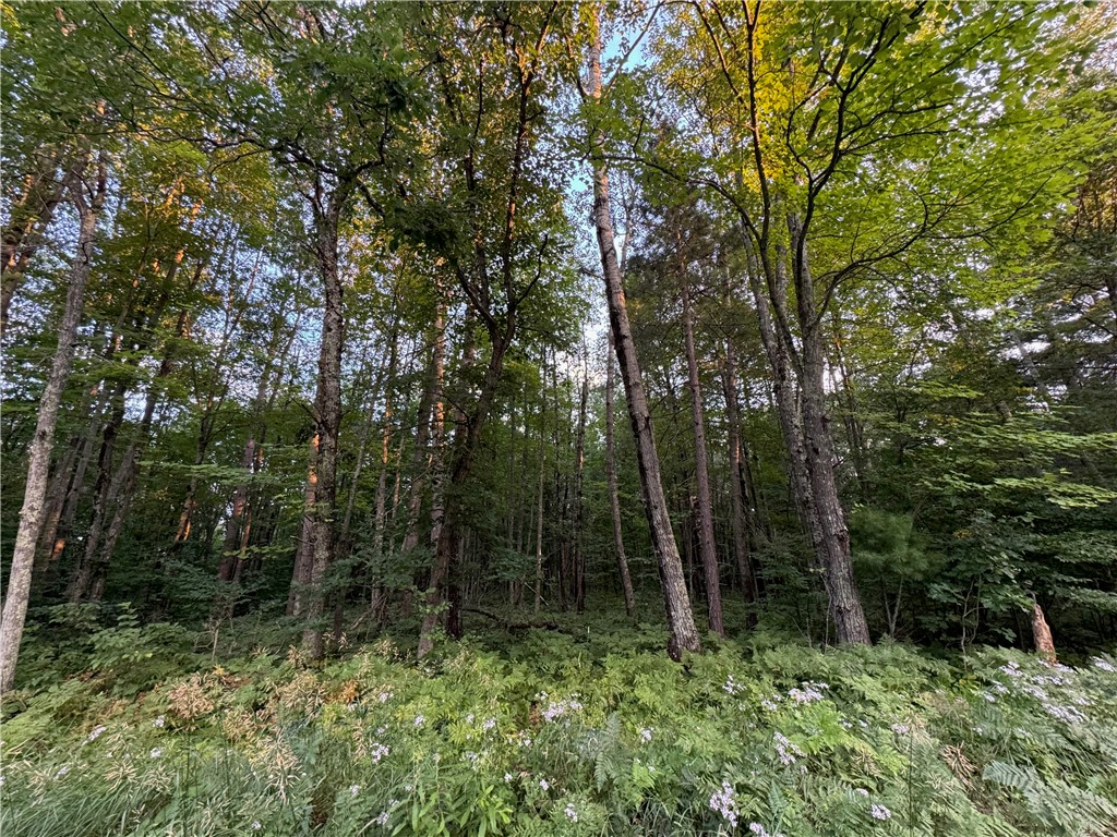 13 acres on County Rd A, Spooner, WI — photo 6