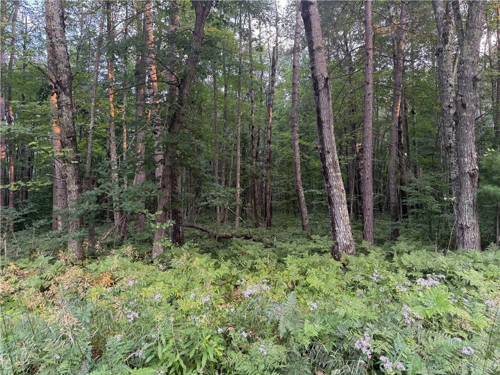 13 acres on County Rd A, Spooner, WI — photo 7