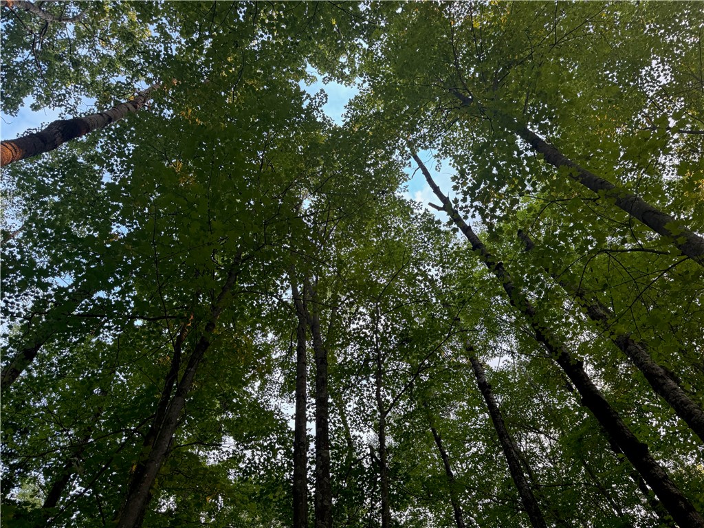 13 acres on County Rd A, Spooner, WI — photo 8