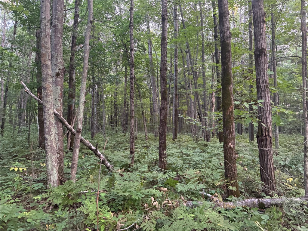 13 acres on County Rd A, Spooner, WI — photo 9